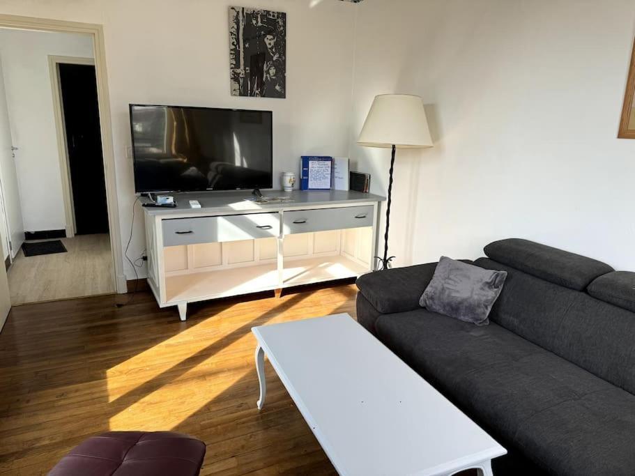 Appartement Sabatier T4 Avec Terrasse Et Jardin カルカソンヌ エクステリア 写真