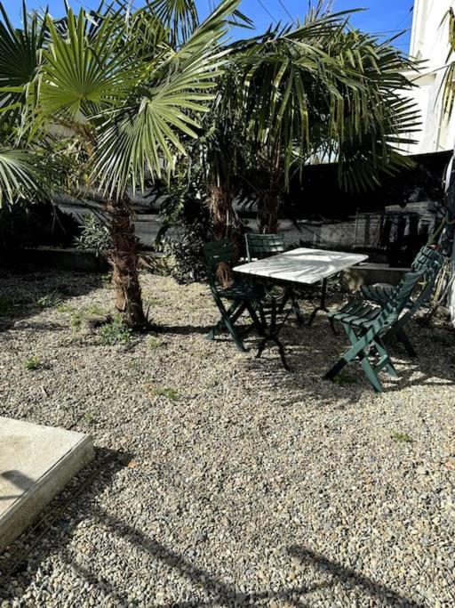 Appartement Sabatier T4 Avec Terrasse Et Jardin カルカソンヌ エクステリア 写真